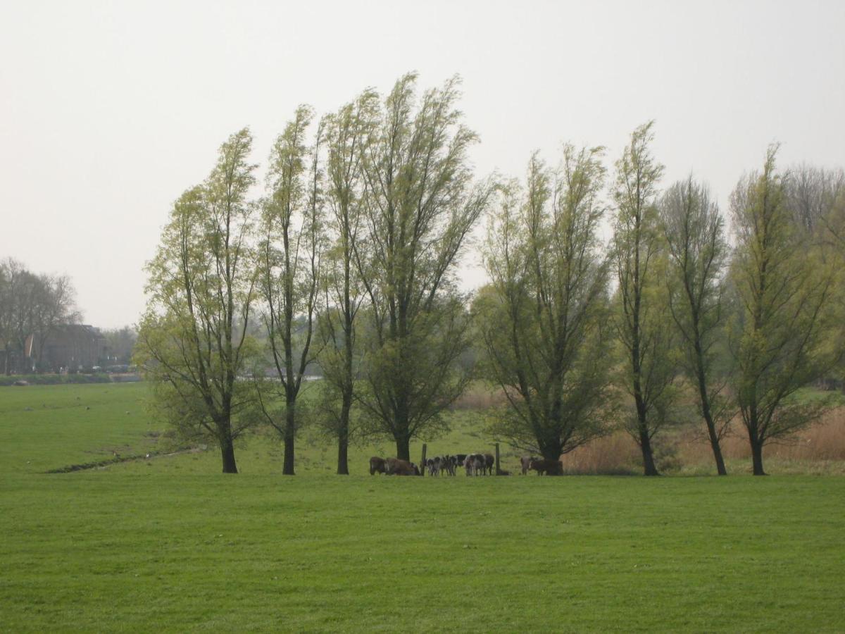 Quaint Farmhouse Near River In Oosterwijk เลียร์ดัม ภายนอก รูปภาพ